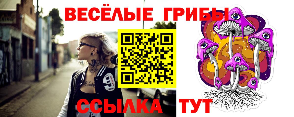 Химки  цены   Вход с VPN  Галлюциногенные грибы Psilocybine cubensis 